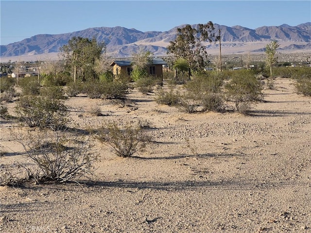 69550 Giant Rock Rd Unit 29, Palms, CA 92277 - photo 26