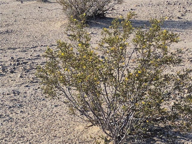 69550 Giant Rock Rd Unit 29, Palms, CA 92277 - photo 29