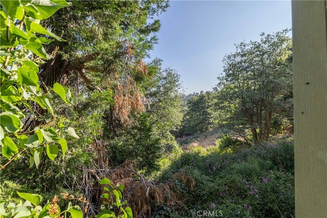 28503 Rim Of The World, Lake Arrowhead, CA 92385 - photo 4