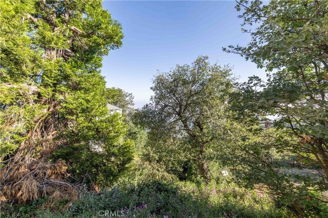 28503 Rim Of The World, Lake Arrowhead, CA 92385 - photo 5