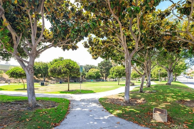1804 Vanderbilt Ln Unit B, Redondo Beach, CA 90278 - photo 46