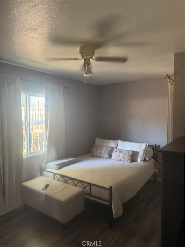 815 E 80th St, Los Angeles, CA 90001 - photo 36