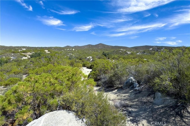 1 Old Stone Hill Rd, Warner Springs, CA 92086 - photo 10