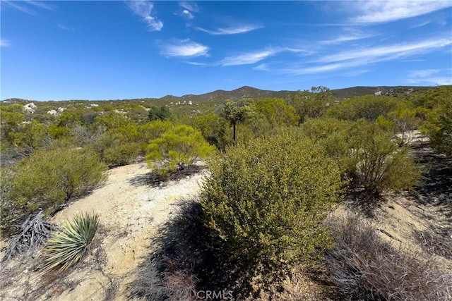 1 Old Stone Hill Rd, Warner Springs, CA 92086 - photo 14