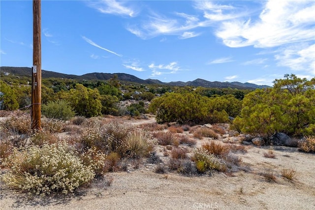 1 Old Stone Hill Rd, Warner Springs, CA 92086 - photo 4