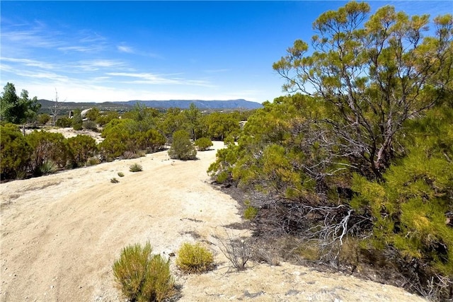1 Old Stone Hill Rd, Warner Springs, CA 92086 - photo 15