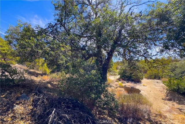 1 Old Stone Hill Rd, Warner Springs, CA 92086 - photo 6