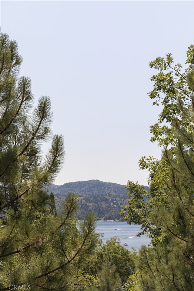 27592 W Shore Rd, Lake Arrowhead, CA 92352 - photo 5