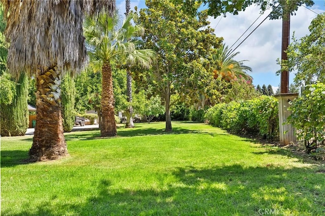 4680 Songbird, Chico, CA 95973 - photo 58