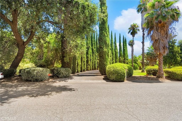 4680 Songbird, Chico, CA 95973 - photo 57