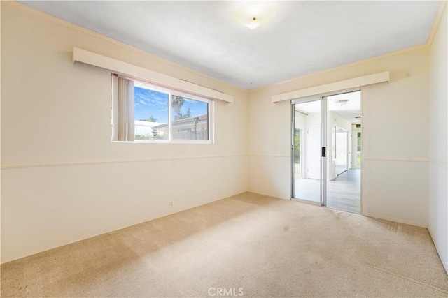 1300 Oak Ave, Carlsbad, CA 92008 - photo 22