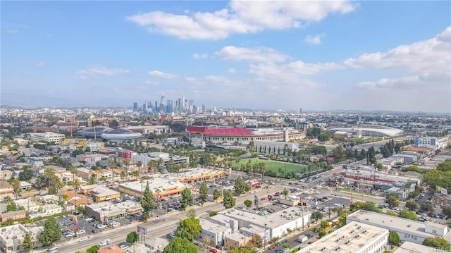 1115 W 41st St, Los Angeles, CA 90037 - photo 28