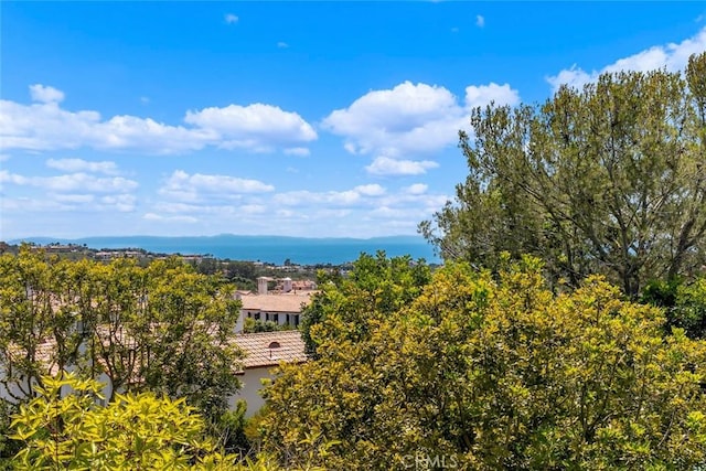 2 Agostino, Newport Coast, CA 92657 - photo 32