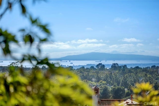 2 Agostino, Newport Coast, CA 92657 - photo 33