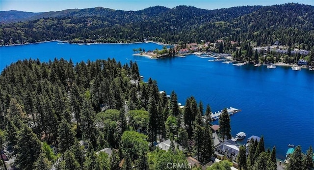 0 Brentwood Dr, Lake Arrowhead, CA 92352 - photo 6