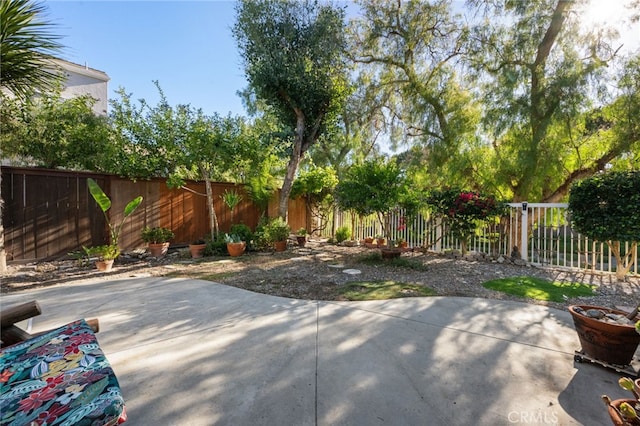2 Spring Hbr, Aliso Viejo, CA 92656 - photo 28