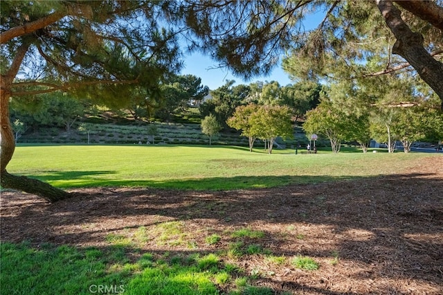 2 Spring Hbr, Aliso Viejo, CA 92656 - photo 42