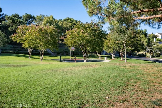 2 Spring Hbr, Aliso Viejo, CA 92656 - photo 43