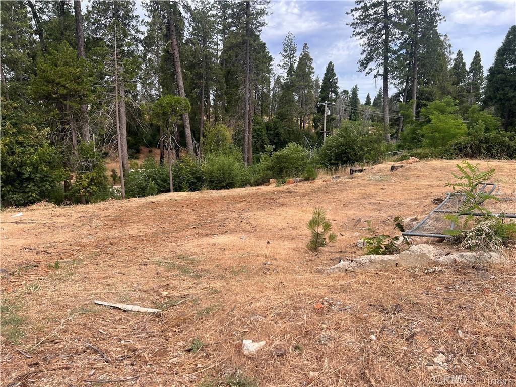 1770 Forest Glen Rd, Paradise, CA 95969 - photo 3