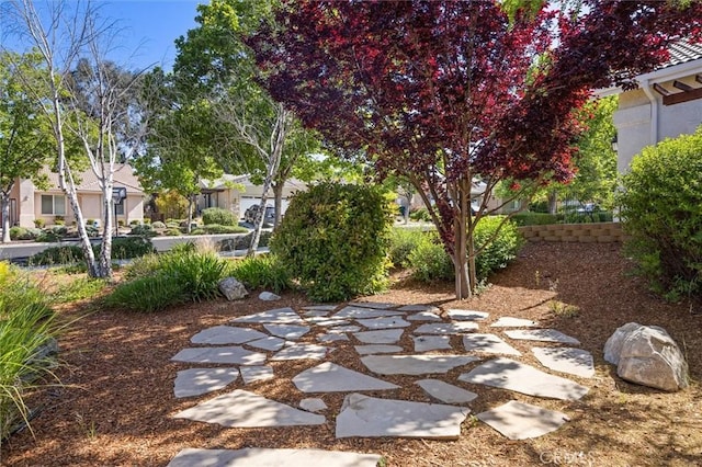 770 Oxen St, Paso Robles, CA 93446 - photo 49