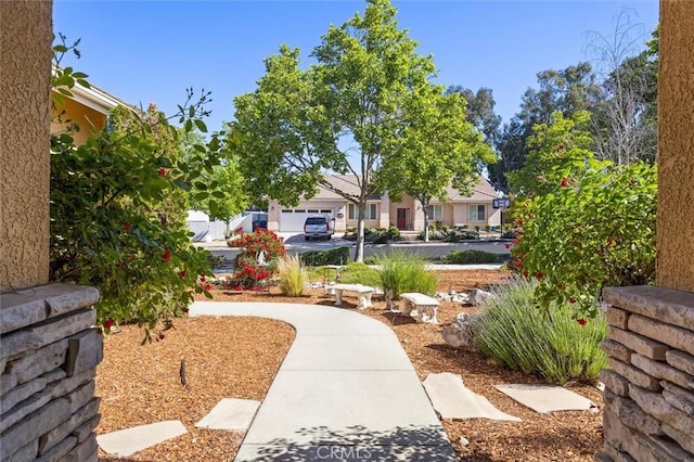 770 Oxen St, Paso Robles, CA 93446 - photo 48