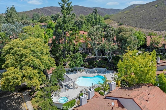 1025 Via Colinas, Westlake Village, CA 91362 - photo 43