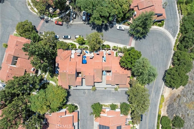 1025 Via Colinas, Westlake Village, CA 91362 - photo 41