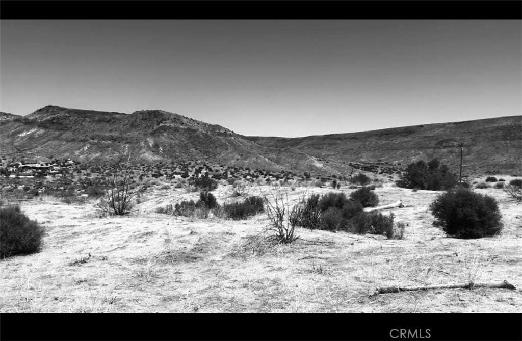 0 Pioneertown Rd, Pioneertown, CA 92268 - photo 3