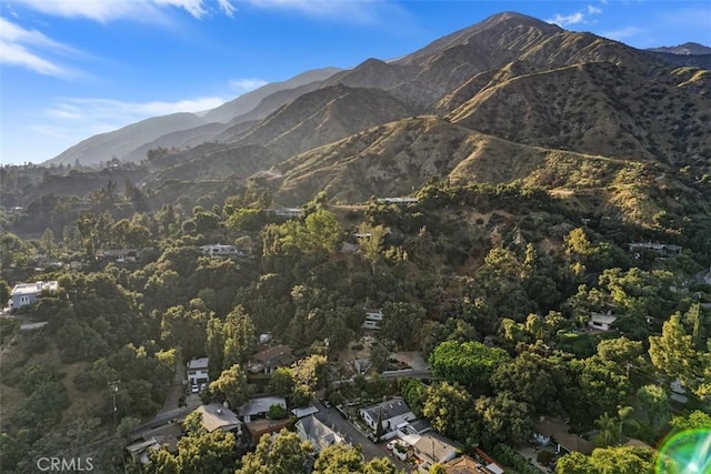 315 Old Ranch Rd, Sierra Madre, CA 91024 - photo 35