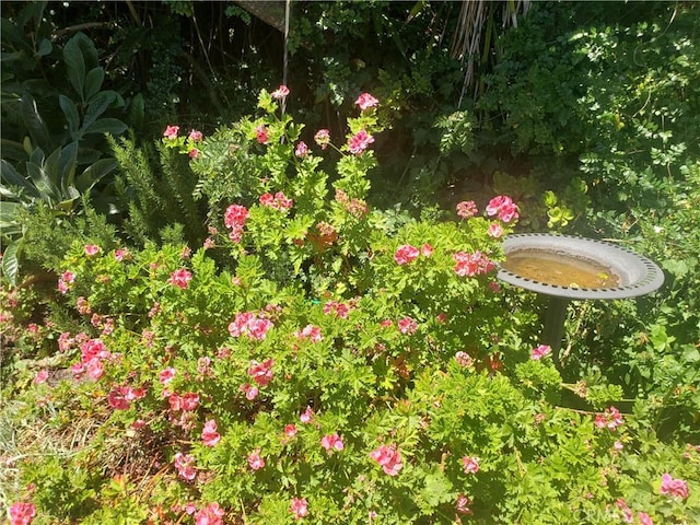 1277 9th St, Los Osos, CA 93402 - photo 21