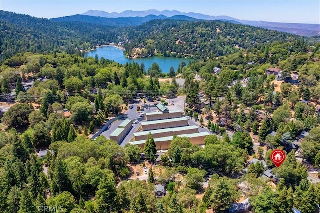 519 S Dart Canyon Rd, Crestline, CA 92325 - photo 25