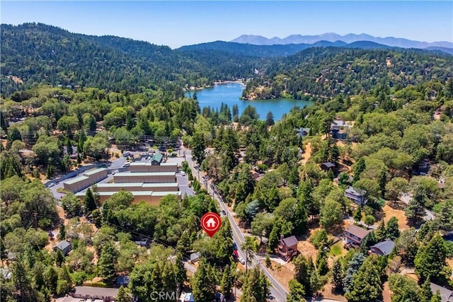 519 S Dart Canyon Rd, Crestline, CA 92325 - photo 26