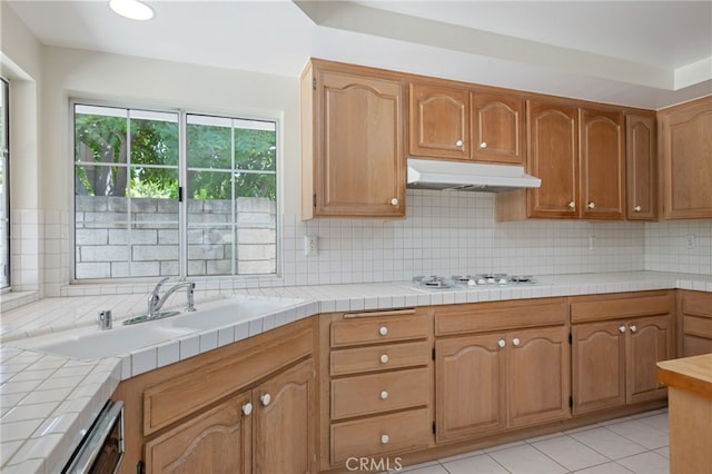 18627 Hillsboro Rd, Porter Ranch, CA 91326 - photo 19