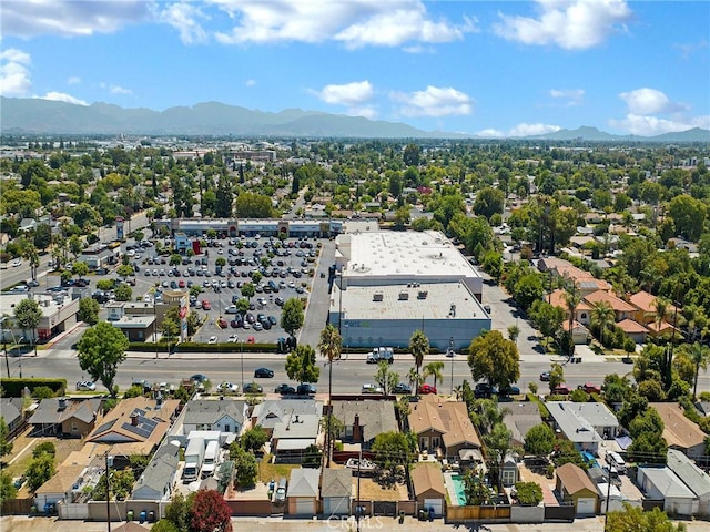 7517 Louise Ave, Lake Balboa, CA 91406 - photo 45