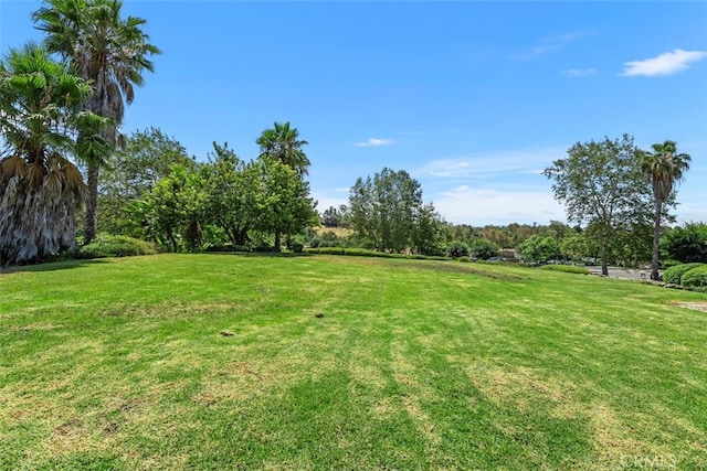 25786 Via Lomas Unit 83, Laguna Hills, CA 92653 - photo 32