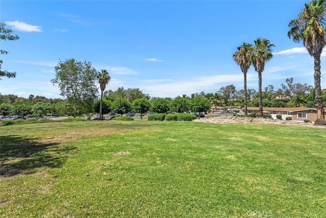25786 Via Lomas Unit 83, Laguna Hills, CA 92653 - photo 33