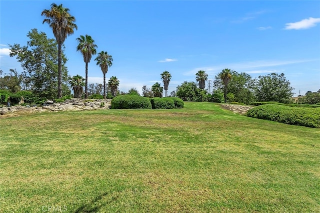 25786 Via Lomas Unit 83, Laguna Hills, CA 92653 - photo 34