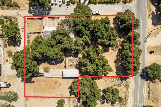 16426 Calle Daggett, Green Valley, CA 91390 - photo 3