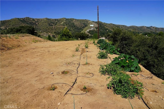 8321 Overview Ct, Yucaipa, CA 92399 - photo 49