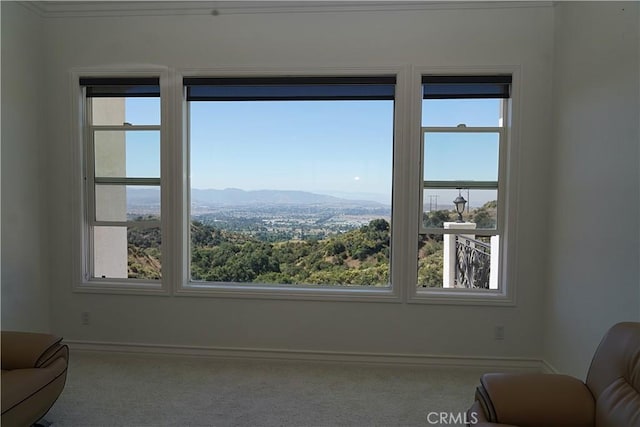 8321 Overview Ct, Yucaipa, CA 92399 - photo 28