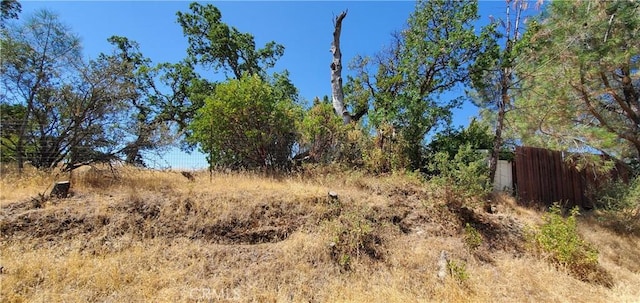 15615 Oakridge Rd, Corning, CA 96021 - photo 8