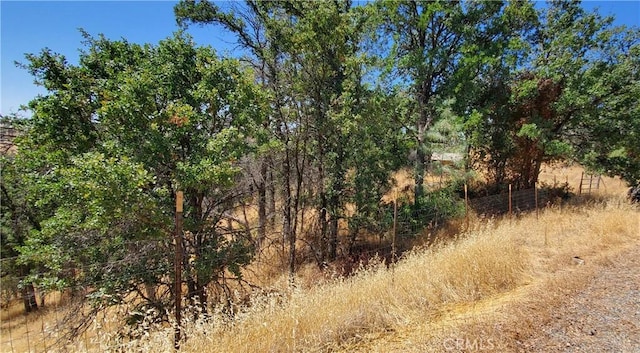 15615 Oakridge Rd, Corning, CA 96021 - photo 5