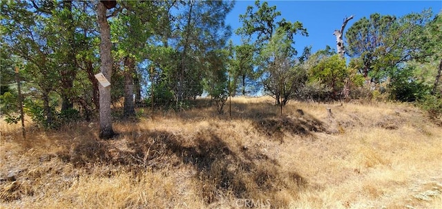 15615 Oakridge Rd, Corning, CA 96021 - photo 9