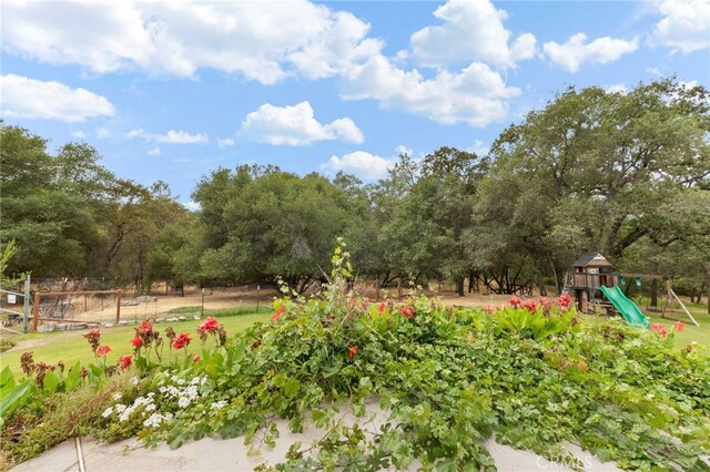 83 Gopher Rd, Oroville, CA 95966 - photo 57