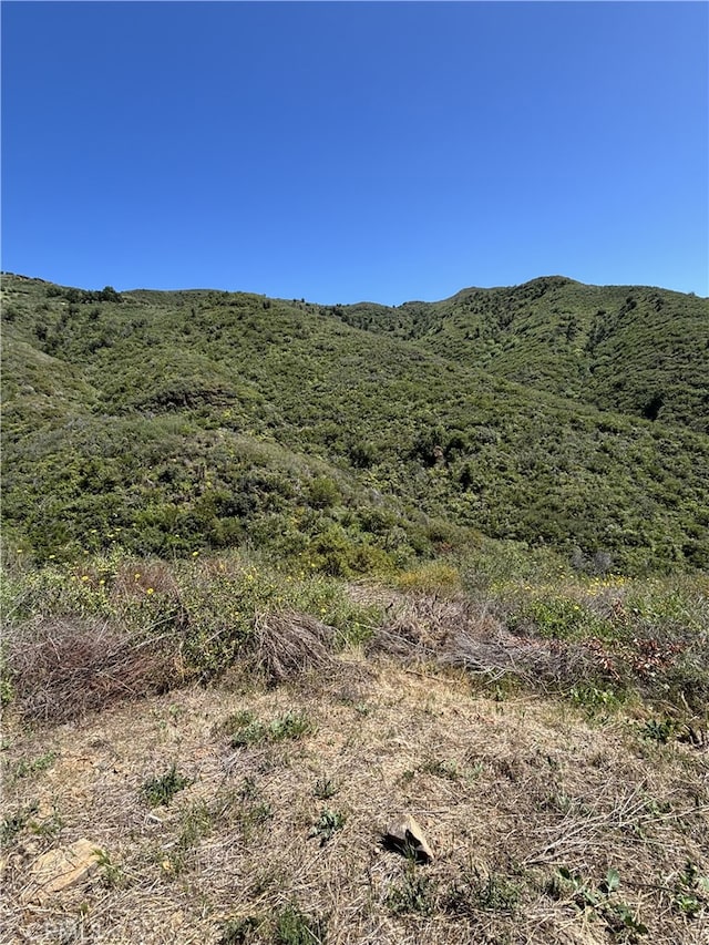 12110 Yellow Hill Rd, Malibu, CA 90265 - photo 7