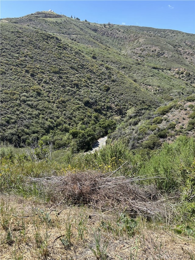 12110 Yellow Hill Rd, Malibu, CA 90265 - photo 9