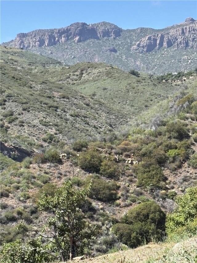 12110 Yellow Hill Rd, Malibu, CA 90265 - photo 8