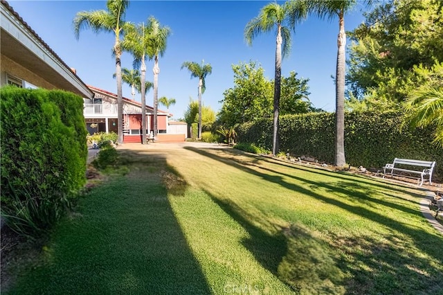 2241 N 1st Ave, Upland, CA 91784 - photo 43