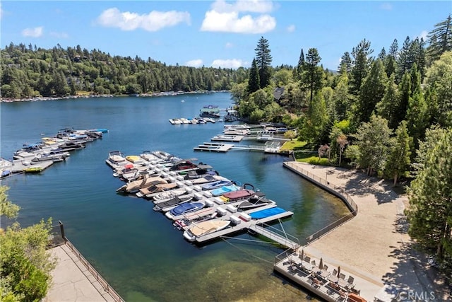 27713 High Knoll Rd, Lake Arrowhead, CA 92352 - photo 72