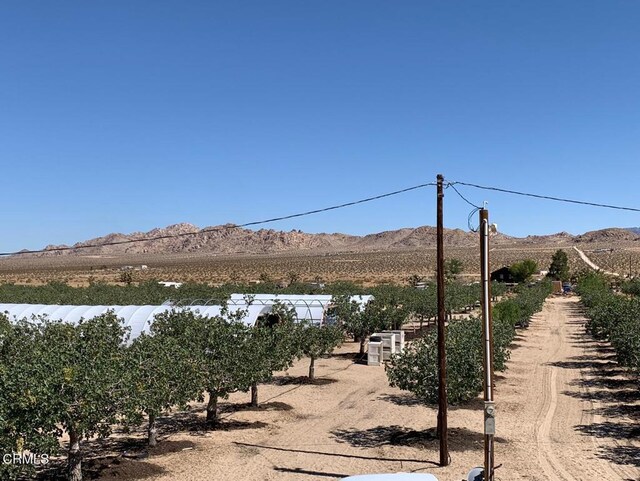 10080 Santa Fe Fire Rd, Lucerne Valley, CA 92356 - photo 17